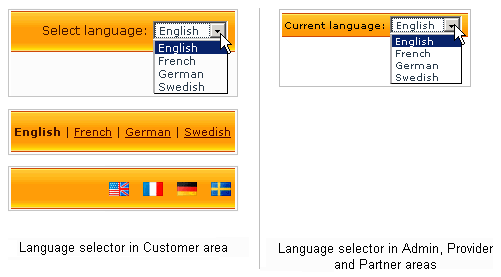 Managing languages 01.png